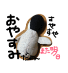 フアちゃん（個別スタンプ：10）