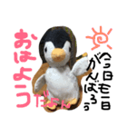 フアちゃん（個別スタンプ：11）