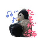 フアちゃん（個別スタンプ：14）