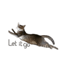 Meow Meboun（個別スタンプ：5）