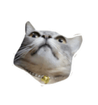 Meow Meboun（個別スタンプ：8）