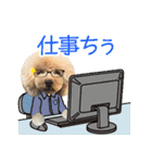 トイプードル❤︎ノア（個別スタンプ：30）
