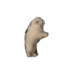 ポメラニアンのふうちゃん（個別スタンプ：5）