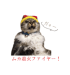 うちのネコ。（個別スタンプ：21）