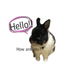 うさぎのギャレット（個別スタンプ：9）