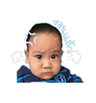 MyAnawyn（個別スタンプ：5）