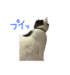 茶々さんは猫である。（個別スタンプ：7）