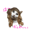 茶々さんは猫である。（個別スタンプ：10）