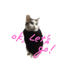 茶々さんは猫である。（個別スタンプ：11）