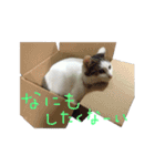 茶々さんは猫である。（個別スタンプ：21）