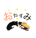 たらこ＆もずく（個別スタンプ：2）
