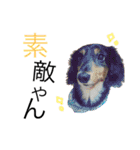 たらこ＆もずく（個別スタンプ：19）