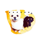ただ、犬が好き（個別スタンプ：14）