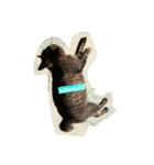 Cat Meawmeaw（個別スタンプ：3）