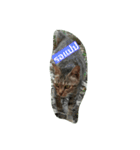 Cat Meawmeaw（個別スタンプ：5）