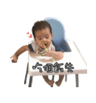 PP shoruher0-6（個別スタンプ：3）