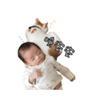 PP shoruher0-6（個別スタンプ：6）