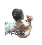 PP shoruher0-6（個別スタンプ：10）