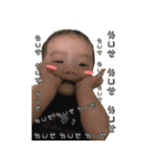 PP shoruher0-6（個別スタンプ：14）