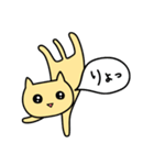 あははにゃんこだよ（個別スタンプ：5）