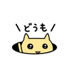あははにゃんこだよ（個別スタンプ：14）