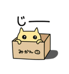 あははにゃんこだよ（個別スタンプ：34）