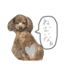 ろんくん♡①（個別スタンプ：4）