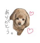 ろんくん♡①（個別スタンプ：6）