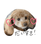 ろんくん♡①（個別スタンプ：7）