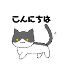 ぱんださんと子猫のハチワレ（個別スタンプ：2）