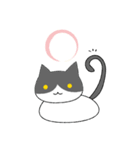 ぱんださんと子猫のハチワレ（個別スタンプ：8）