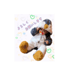 サラピー スタンプ(日常)（個別スタンプ：10）