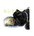 フレブルはなの親バカスタンプ40個（個別スタンプ：34）