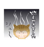 ドラネコ ミーちゃん 2（個別スタンプ：14）