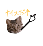 ぷっかの指差し棒（個別スタンプ：3）