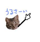 ぷっかの指差し棒（個別スタンプ：5）