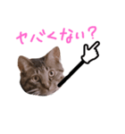 ぷっかの指差し棒（個別スタンプ：7）