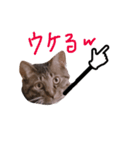 ぷっかの指差し棒（個別スタンプ：14）