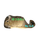 Nami designated part2(degu)（個別スタンプ：1）
