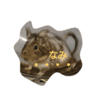 Nami designated part2(degu)（個別スタンプ：2）