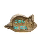 Nami designated part2(degu)（個別スタンプ：7）