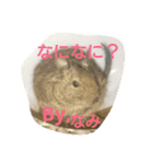 Nami designated part2(degu)（個別スタンプ：8）