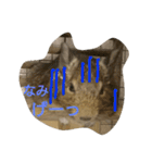 Nami designated part2(degu)（個別スタンプ：10）