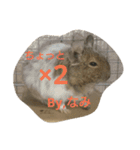 Nami designated part2(degu)（個別スタンプ：11）