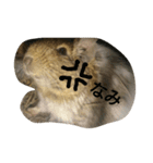 Nami designated part2(degu)（個別スタンプ：12）