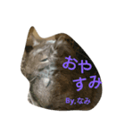 Nami designated part2(degu)（個別スタンプ：13）