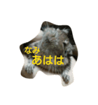 Nami designated part2(degu)（個別スタンプ：16）