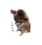 れおっぴ（個別スタンプ：1）