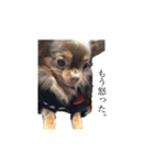 れおっぴ（個別スタンプ：3）