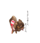 れおっぴ（個別スタンプ：11）